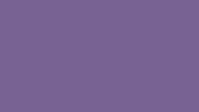 U 3115 PE Фиолетовый темный